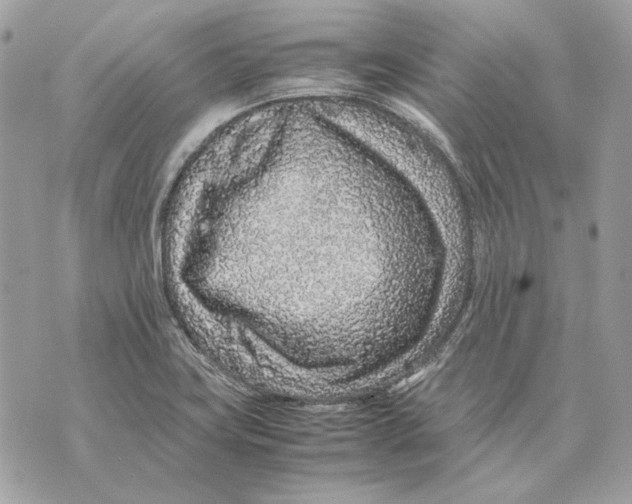 X0000070211419200606161630