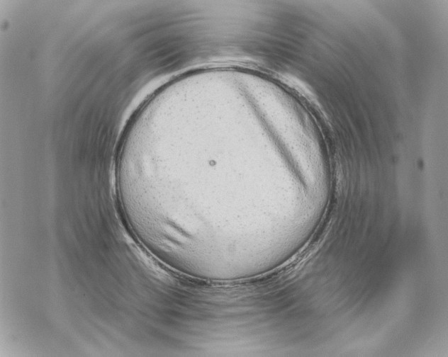 X0000070211420200606161630