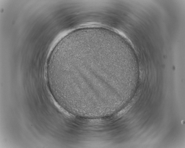 X0000070211421200606161630