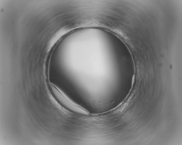 X0000070211422200606161630