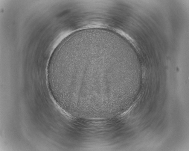 X0000070211423200606161630