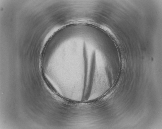 X0000070211424200606161630