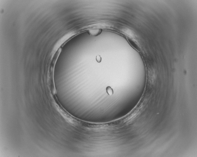 X0000070211426200606161630