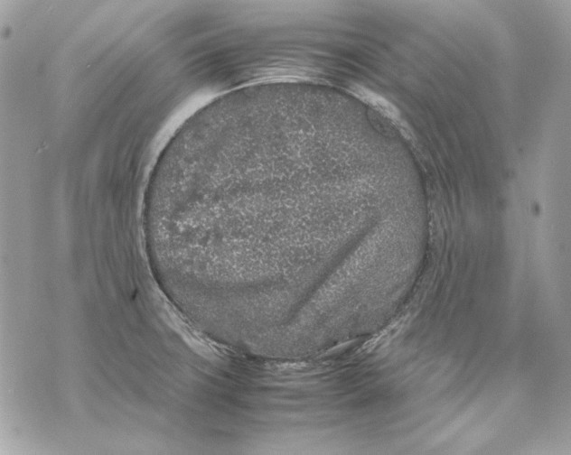 X0000070211427200606161630