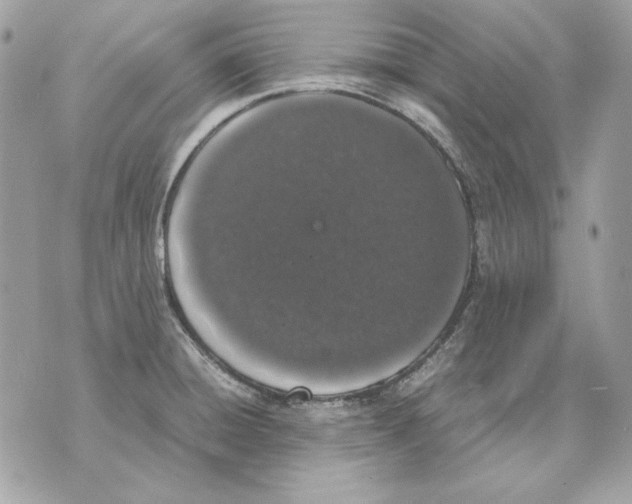 X0000070211428200606161630