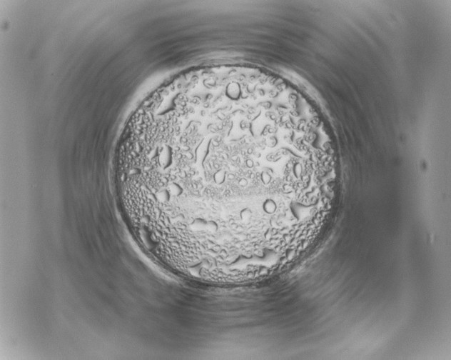 X0000070211429200606161630