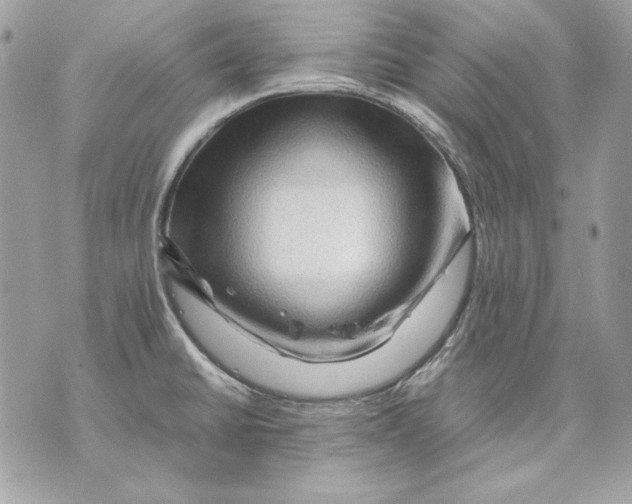 X0000070211430200606161630