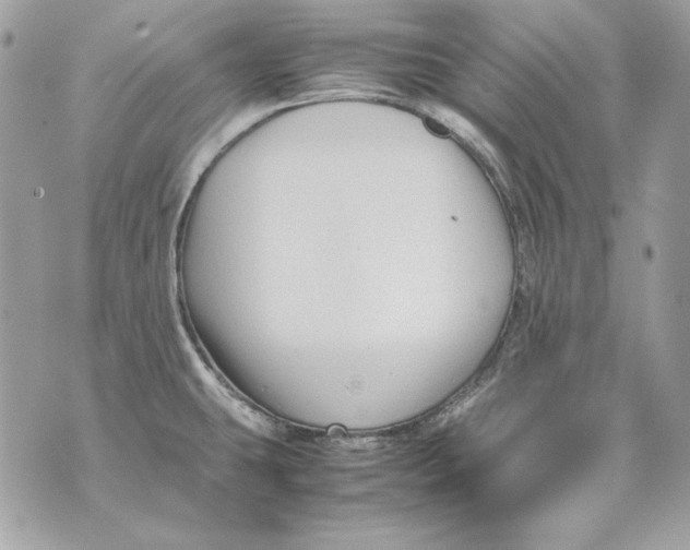 X0000070211431200606161630