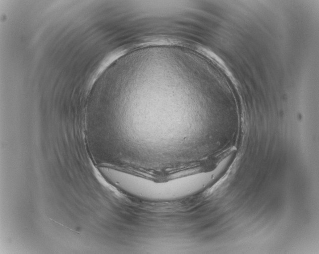 X0000070211433200606161630