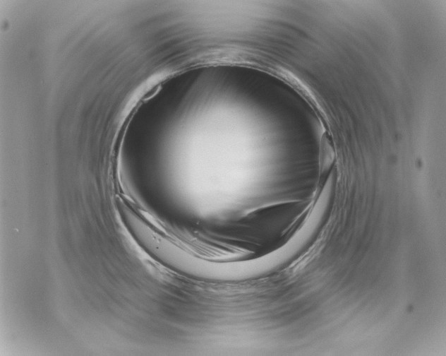 X0000070211434200606161630