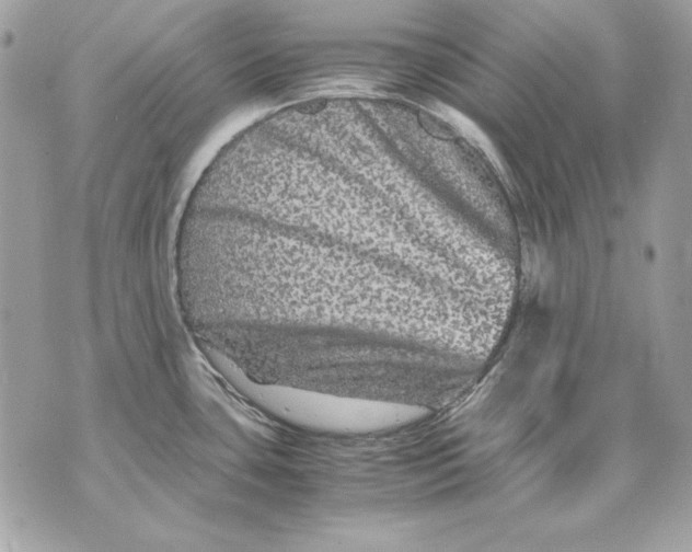 X0000070211435200606161630