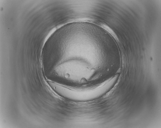 X0000070211436200606161630