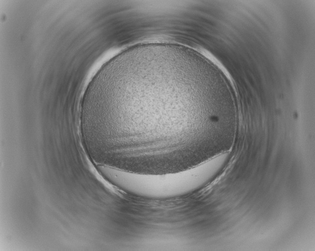 X0000070211437200606161630