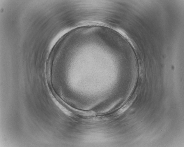 X0000070211438200606161630