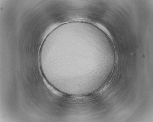 X0000070211439200606161630