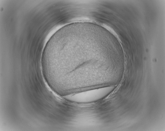 X0000070211440200606161630