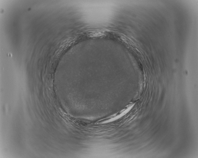 X0000070211441200606161630