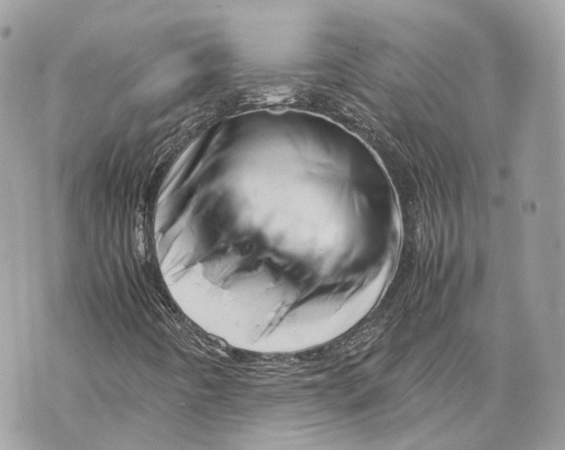 X0000070211442200606161630