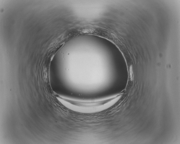 X0000070211443200606161629