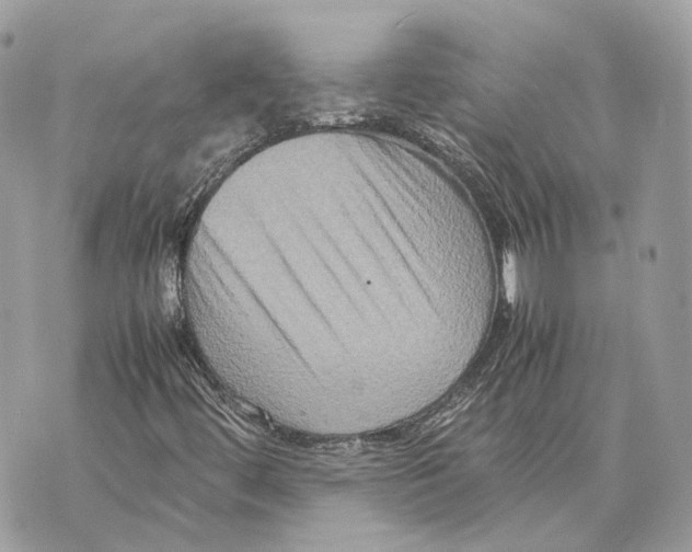 X0000070211444200606161629