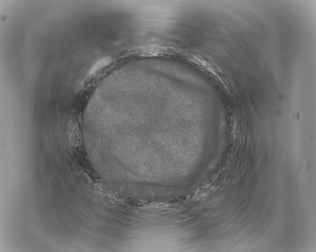 X0000070211446200606161629