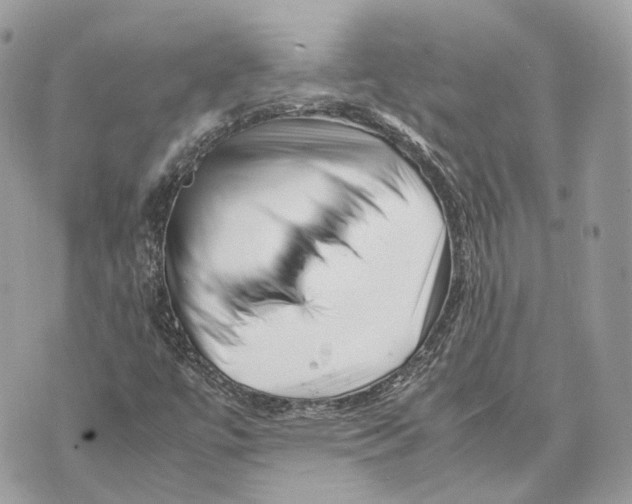 X0000070211447200606161629