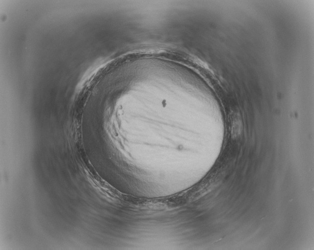 X0000070211448200606161629