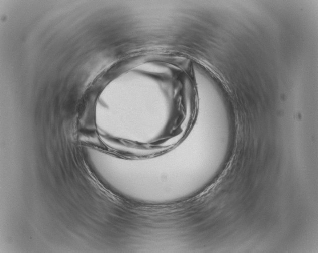 X0000070211450200606161629