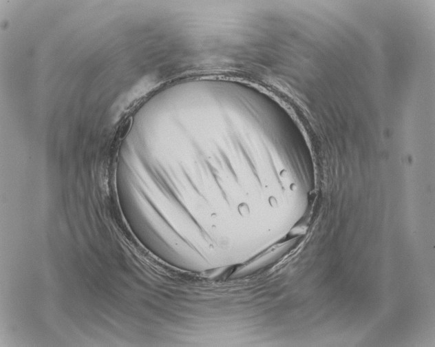 X0000070211451200606161629