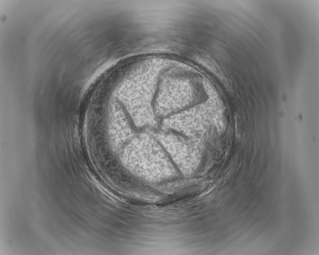 X0000070211452200606161629