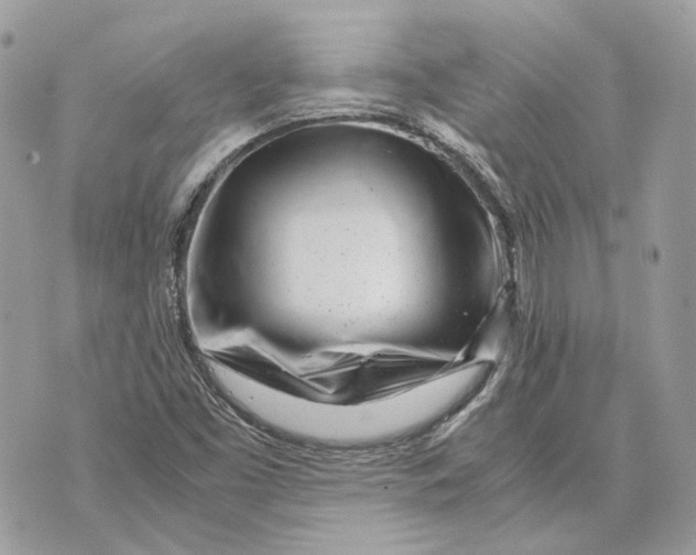 X0000070211453200606161629