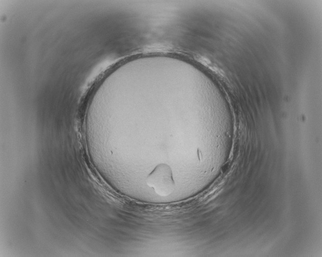 X0000070211454200606161629