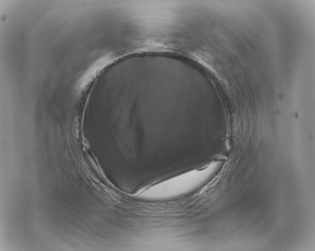 X0000070211455200606161629