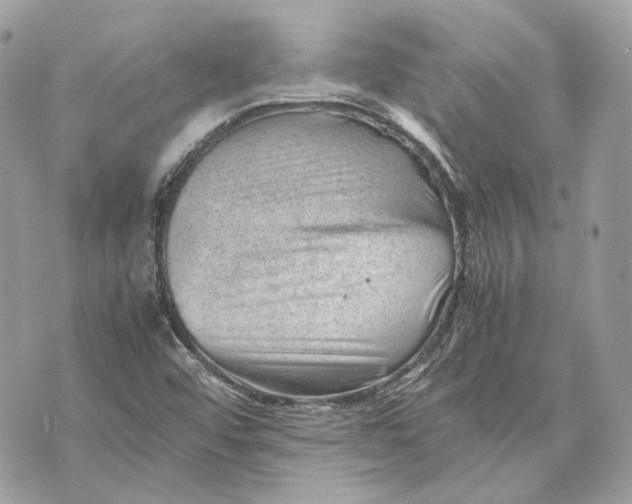 X0000070211456200606161629