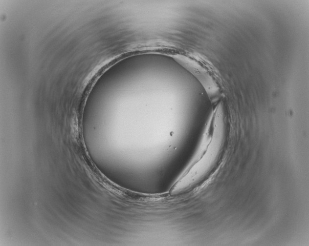 X0000070211457200606161629