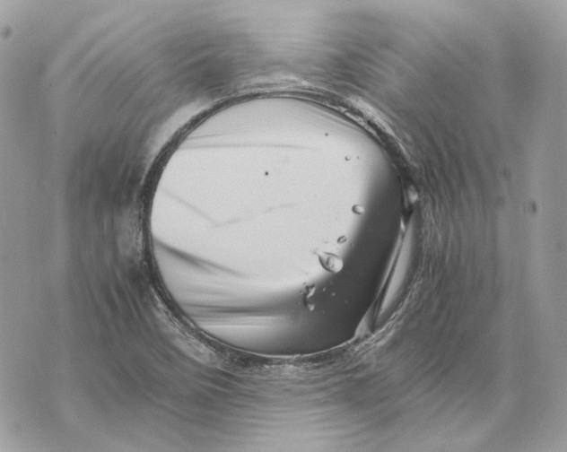 X0000070211458200606161629