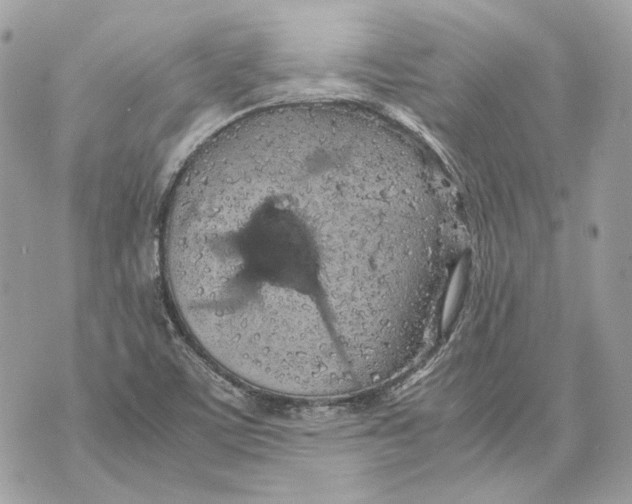 X0000070211459200606161629