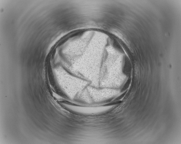 X0000070211460200606161629