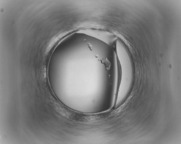 X0000070211461200606161629