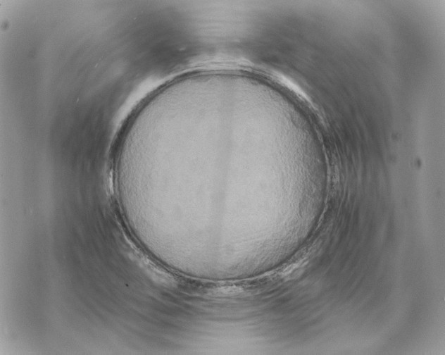 X0000070211462200606161629