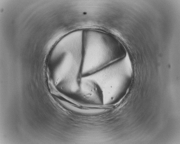 X0000070211463200606161629