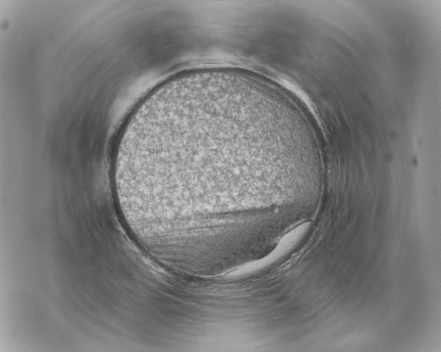 X0000070211464200606161629