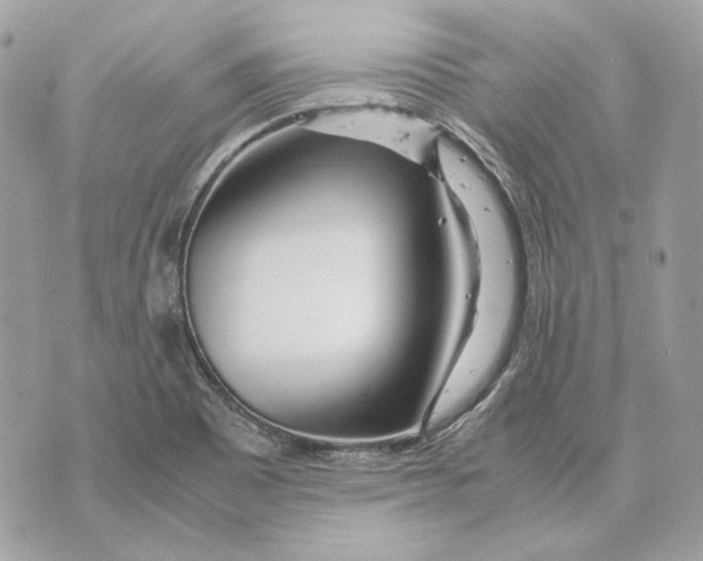 X0000070211465200606161629