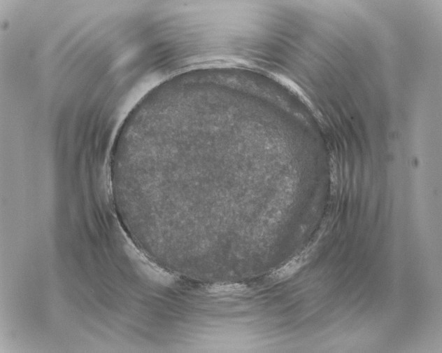 X0000070211466200606161629