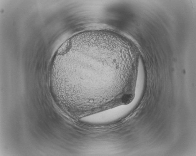 X0000070211467200606161629