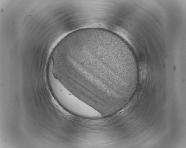 X0000070211468200606161629