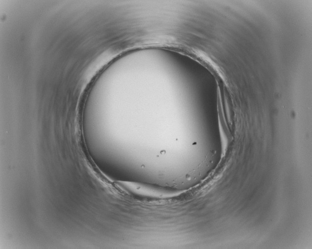 X0000070211469200606161629