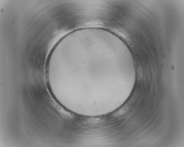 X0000070211470200606161629