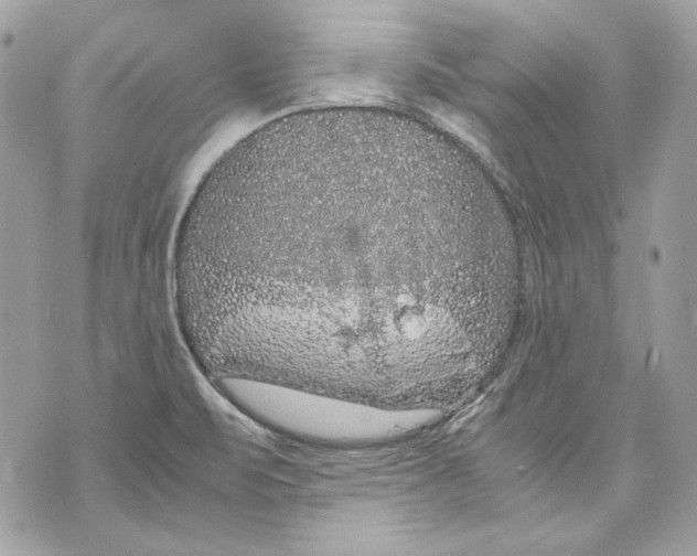 X0000070211471200606161629