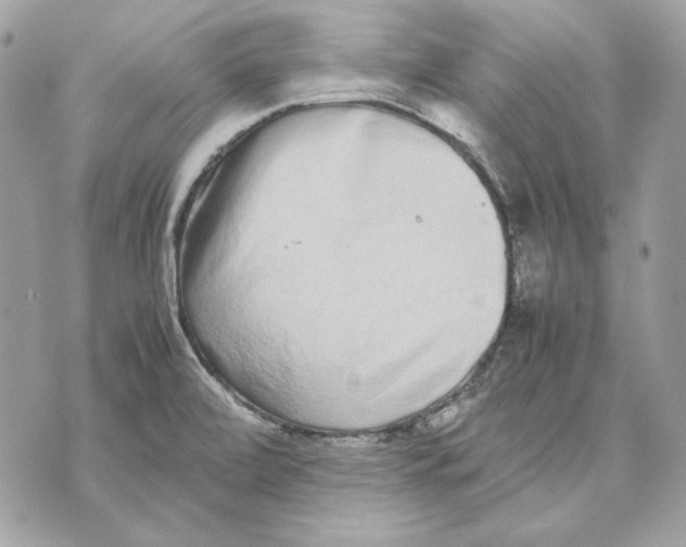 X0000070211472200606161629